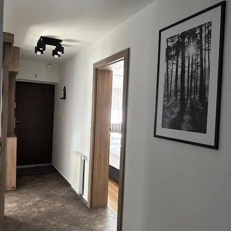 Pod Lesnym Niebem * Kudowa-Zdrój