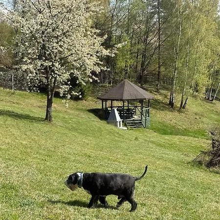 Pod Lesnym Niebem Apartman