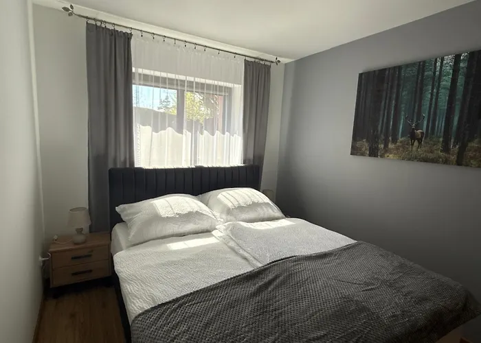 Pod Lesnym Niebem كودوفا- زدروي