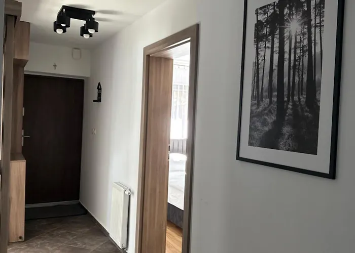 Pod Lesnym Niebem * Kudowa-Zdroj